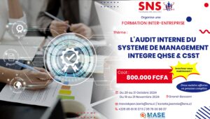 Formation AUDIT INTERNE 1